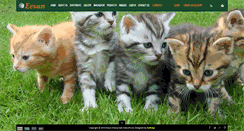 Desktop Screenshot of eesun.co.in