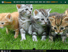 Tablet Screenshot of eesun.co.in
